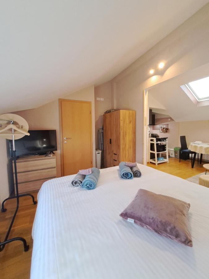 Casa Antonio With Swimming Pool Διαμέρισμα Novigrad Istria Εξωτερικό φωτογραφία