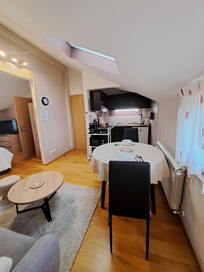 Casa Antonio With Swimming Pool Διαμέρισμα Novigrad Istria Εξωτερικό φωτογραφία