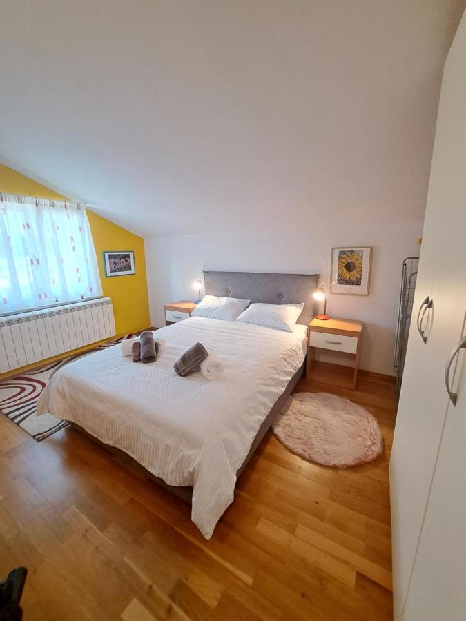 Casa Antonio With Swimming Pool Διαμέρισμα Novigrad Istria Εξωτερικό φωτογραφία